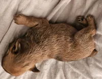 processed/0c782ca2-ee84-499a-b0f7-cdddc516c4e5/listing/d75eaf76-396c-4abd-ba88-a1a69cb74be7/9a6a3e94-c8d8-4909-9fea-3b235ce24d57