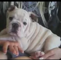 processed/0c7e51ed-fb28-4b87-8c67-3077622a8d17/facility/0a04664c-1ce2-470c-9114-7e088438def7