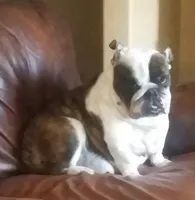 processed/0c7e51ed-fb28-4b87-8c67-3077622a8d17/facility/0d1518a5-d066-4106-8b9c-4bd96bcb1c4c