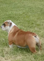 processed/0c7e51ed-fb28-4b87-8c67-3077622a8d17/facility/6ddb9916-794d-4a88-963d-d7e160abcfa7