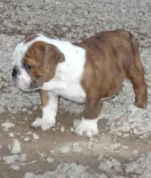 processed/0c7e51ed-fb28-4b87-8c67-3077622a8d17/facility/731e3653-d050-48a2-a195-3861917249ff