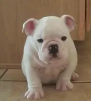 processed/0c7e51ed-fb28-4b87-8c67-3077622a8d17/facility/93954e88-95c6-4e76-a9c2-6ca11ce769e4