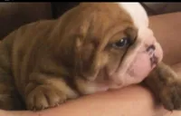 processed/0c7e51ed-fb28-4b87-8c67-3077622a8d17/facility/cc181716-8f08-4661-8932-80497b1e1cdf