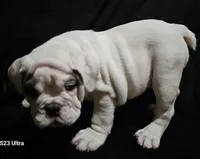 processed/0c7e51ed-fb28-4b87-8c67-3077622a8d17/listing/cb5a2978-f74b-4549-b31b-f142fdcd8aa9/2bf631b0-2a60-4b71-a756-15616053b0d3