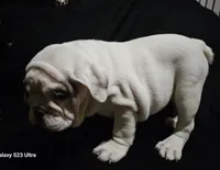 processed/0c7e51ed-fb28-4b87-8c67-3077622a8d17/listing/cb5a2978-f74b-4549-b31b-f142fdcd8aa9/444d1c52-7139-49f4-a28e-fd07fc51c6c7