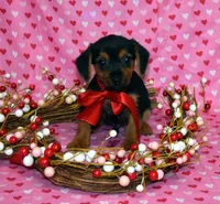 processed/0c84e2c8-9a7a-408a-bee9-4f232e13c8b4/listing/05ed9e42-2803-457c-8395-ce4a32c41cf1/4225452a-033b-4ab3-b1f8-6482b8f872cc