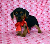 processed/0c84e2c8-9a7a-408a-bee9-4f232e13c8b4/listing/05ed9e42-2803-457c-8395-ce4a32c41cf1/df54de3b-ac99-43eb-bcd5-790ed9278a72