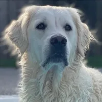 processed/0c887e82-b737-4e88-92d8-aaf17a8e3530/listing/c49e50a3-c3bd-4e5f-97f2-989f639e4b2b/1344cc70-e728-49d9-8bb9-bb5074de14a5