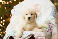 processed/0c887e82-b737-4e88-92d8-aaf17a8e3530/listing/c49e50a3-c3bd-4e5f-97f2-989f639e4b2b/6d124ca0-a58b-4e3e-981d-a845e607a32d