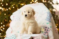 processed/0c887e82-b737-4e88-92d8-aaf17a8e3530/listing/c49e50a3-c3bd-4e5f-97f2-989f639e4b2b/7623b4be-e352-4a03-8cec-c81f07f5a581