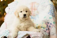 processed/0c887e82-b737-4e88-92d8-aaf17a8e3530/listing/c49e50a3-c3bd-4e5f-97f2-989f639e4b2b/c0bcf18d-a058-41fc-9815-fd7488391b1d