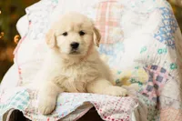 processed/0c887e82-b737-4e88-92d8-aaf17a8e3530/listing/c49e50a3-c3bd-4e5f-97f2-989f639e4b2b/daa5f524-6dd8-479a-8911-764eabc600ce