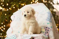 processed/0c887e82-b737-4e88-92d8-aaf17a8e3530/listing/c49e50a3-c3bd-4e5f-97f2-989f639e4b2b/f9c92735-4326-4910-bd77-88b987f2c2b8