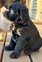 processed/0c948c7b-c2f3-41ab-a02a-711174553fb1/listing/13803be0-9ffe-4a18-a48c-10af62ff3624/b29a02ff-97b7-4a31-88d3-0ce782e94003