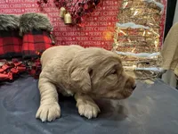 processed/0c948c7b-c2f3-41ab-a02a-711174553fb1/listing/27bafb79-d568-4fc9-8814-883e402244bb/559da175-e75b-4a62-9e86-b667fa87e771