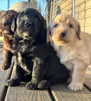 processed/0c948c7b-c2f3-41ab-a02a-711174553fb1/listing/27bafb79-d568-4fc9-8814-883e402244bb/7992f6a5-0164-4c7c-8531-7c86ac37619f