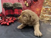 processed/0c948c7b-c2f3-41ab-a02a-711174553fb1/listing/27bafb79-d568-4fc9-8814-883e402244bb/a9acb398-0f26-453e-9fce-1b14b9bf34b0