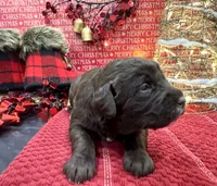 processed/0c948c7b-c2f3-41ab-a02a-711174553fb1/listing/4e0e0736-070e-444f-9aee-348bc021fad3/167fbbbc-f7dc-4319-88fe-8b0b6733a412