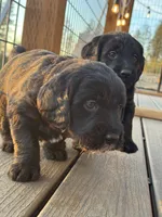 processed/0c948c7b-c2f3-41ab-a02a-711174553fb1/listing/4e0e0736-070e-444f-9aee-348bc021fad3/3c12786d-0b3b-42a1-a10d-4436b8556c03