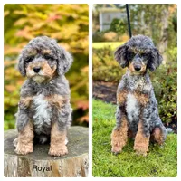 processed/0c948c7b-c2f3-41ab-a02a-711174553fb1/listing/4e0e0736-070e-444f-9aee-348bc021fad3/c691e6b8-d613-424f-8396-94077ad1ebd6