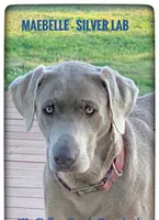 processed/0c948c7b-c2f3-41ab-a02a-711174553fb1/listing/4e0e0736-070e-444f-9aee-348bc021fad3/df9b6947-f7b9-4537-b8ec-25af58d0da55