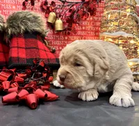 processed/0c948c7b-c2f3-41ab-a02a-711174553fb1/listing/b717c4da-189b-4c07-aacd-aab5d3b3f3cf/fe87b832-a402-45b6-9c77-dcebfa77a207