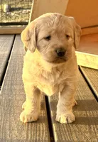 processed/0c948c7b-c2f3-41ab-a02a-711174553fb1/listing/df96b180-e617-4709-ac96-9f2a435451a3/91e120ef-6aeb-4650-82db-7b4fc4f89e06