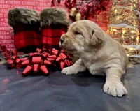 processed/0c948c7b-c2f3-41ab-a02a-711174553fb1/listing/df96b180-e617-4709-ac96-9f2a435451a3/aebd6009-7ed9-4a93-9298-9d06e3a4b2c8