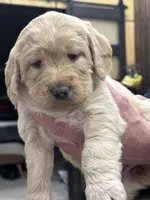 processed/0c948c7b-c2f3-41ab-a02a-711174553fb1/listing/df96b180-e617-4709-ac96-9f2a435451a3/b0ec2614-cc9d-4497-8601-e60312f46ec7