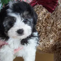 processed/0ca453f8-7bfa-4db9-8407-ced72de8a3a2/facility/08cd3f88-7e95-4a41-980d-6f3121927ce1