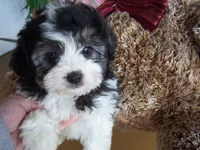 processed/0ca453f8-7bfa-4db9-8407-ced72de8a3a2/facility/08cd3f88-7e95-4a41-980d-6f3121927ce1