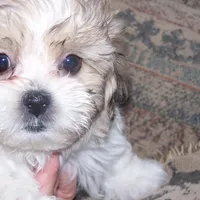 processed/0ca453f8-7bfa-4db9-8407-ced72de8a3a2/facility/45676143-1d69-4c36-af7f-4e15f1506a41