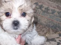 processed/0ca453f8-7bfa-4db9-8407-ced72de8a3a2/facility/45676143-1d69-4c36-af7f-4e15f1506a41