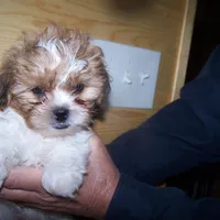 processed/0ca453f8-7bfa-4db9-8407-ced72de8a3a2/facility/6bae21fa-039f-4a00-8333-3334510fa835