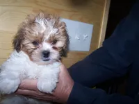 processed/0ca453f8-7bfa-4db9-8407-ced72de8a3a2/facility/6bae21fa-039f-4a00-8333-3334510fa835