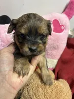 processed/0ca453f8-7bfa-4db9-8407-ced72de8a3a2/listing/d2b82823-b6d2-449d-bf3b-9c748e3d39b8/231c6d6d-b9bf-4827-b395-6436264a7f67