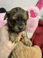 processed/0ca453f8-7bfa-4db9-8407-ced72de8a3a2/listing/d2b82823-b6d2-449d-bf3b-9c748e3d39b8/33c18d6d-4d0e-4a62-9921-6862106a48a3