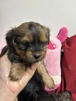 processed/0ca453f8-7bfa-4db9-8407-ced72de8a3a2/listing/d2b82823-b6d2-449d-bf3b-9c748e3d39b8/c1b08415-4a36-4528-89b5-a5bdc05c3e0b