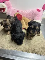 processed/0ca453f8-7bfa-4db9-8407-ced72de8a3a2/listing/d2b82823-b6d2-449d-bf3b-9c748e3d39b8/c4f8663c-b874-4ea9-9e6c-4ede1f83d9dc