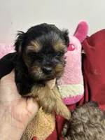 processed/0ca453f8-7bfa-4db9-8407-ced72de8a3a2/listing/df799101-5861-4a29-926d-e1aca3de12ca/0c9b8d9a-f357-4fcb-8905-23a59f3a6cfa