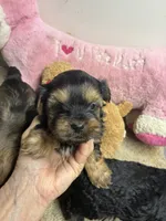 processed/0ca453f8-7bfa-4db9-8407-ced72de8a3a2/listing/df799101-5861-4a29-926d-e1aca3de12ca/22609477-9cf8-48b7-9a7d-cf24b9f818c1