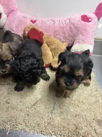 processed/0ca453f8-7bfa-4db9-8407-ced72de8a3a2/listing/df799101-5861-4a29-926d-e1aca3de12ca/27bd6c11-3395-4f8e-82ca-11def4c60d2c