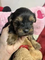 processed/0ca453f8-7bfa-4db9-8407-ced72de8a3a2/listing/df799101-5861-4a29-926d-e1aca3de12ca/63ac70a2-339f-4481-bba8-3f7d5bb8f915