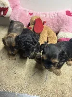 processed/0ca453f8-7bfa-4db9-8407-ced72de8a3a2/listing/df799101-5861-4a29-926d-e1aca3de12ca/86cec485-f68a-4458-a5d9-63330c28972a