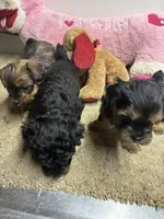 processed/0ca453f8-7bfa-4db9-8407-ced72de8a3a2/listing/df799101-5861-4a29-926d-e1aca3de12ca/a03b7f5a-f798-47c9-b249-93bcefbf3fc1