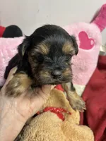 processed/0ca453f8-7bfa-4db9-8407-ced72de8a3a2/listing/df799101-5861-4a29-926d-e1aca3de12ca/cac70e7b-42f8-42d1-861b-edb3df948d2c