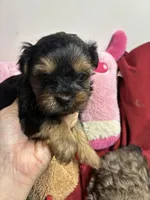 processed/0ca453f8-7bfa-4db9-8407-ced72de8a3a2/listing/df799101-5861-4a29-926d-e1aca3de12ca/ec1d904e-7a87-4eb4-9d5a-681082d66644