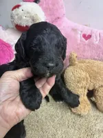 processed/0ca453f8-7bfa-4db9-8407-ced72de8a3a2/listing/ecc22680-a77b-4340-b0f5-b194674a81e0/1bb2cc73-523d-4339-bbad-a33ef3df70ff