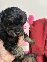 processed/0ca453f8-7bfa-4db9-8407-ced72de8a3a2/listing/faeb65a1-6a37-4d51-a416-063f34cf51c4/2870af50-ea1a-4c31-9c7e-ff0839d660bd