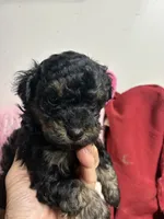 processed/0ca453f8-7bfa-4db9-8407-ced72de8a3a2/listing/faeb65a1-6a37-4d51-a416-063f34cf51c4/4517a674-2800-4514-a1fe-172e21e136f0